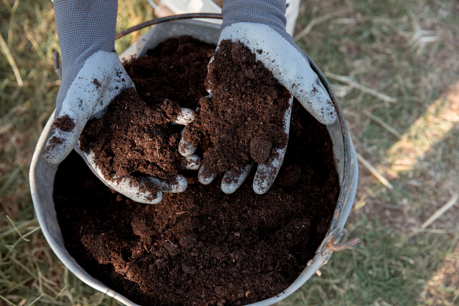 compost-concepto-naturaleza-muerta